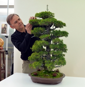 Pinus P Kovonde. Pinzado