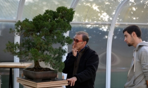 Estudio inicial del árbol