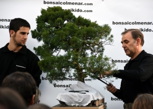 Comienzo demostración