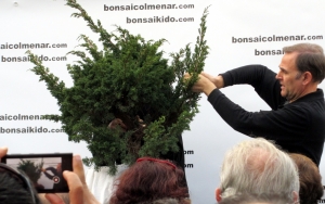 Primeros cortes de ramas