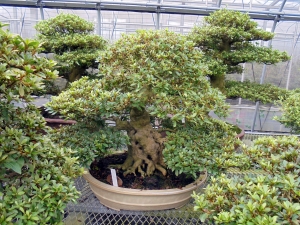 DSC01763-min-min-min