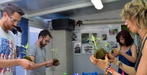 DSC_0073 - copia-min